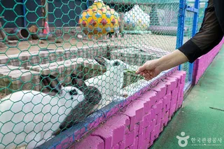 고양낙농치즈테마체험장