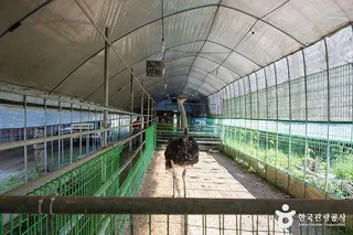 찬우물 체험동물농장