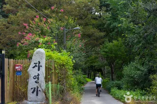 바람쐬는길
