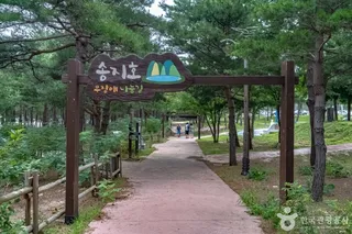 송지호둘레길