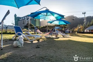 양지파인펫파크