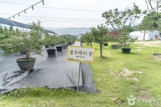 헤븐온어스