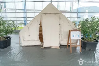 포레스트벨