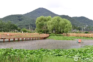 영광불갑테마공원