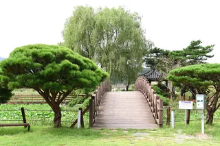 영광불갑테마공원