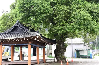지내들옹기돌탑공원