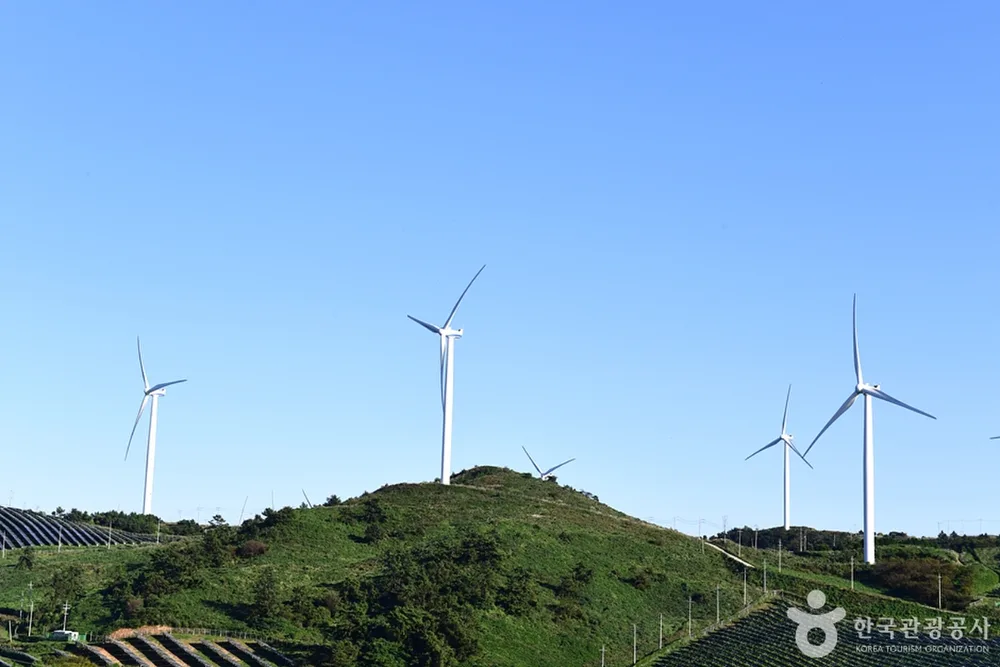 활성산 풍력발전단지