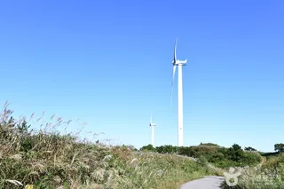 활성산 풍력발전단지