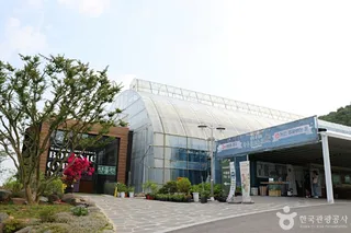 왕궁 포레스트