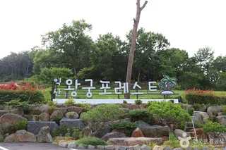왕궁 포레스트