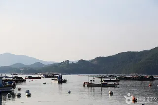 남해금천갯벌체험장