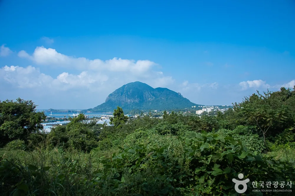 안덕 월라봉