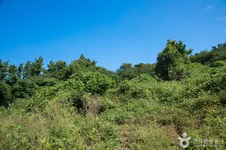 안덕 월라봉