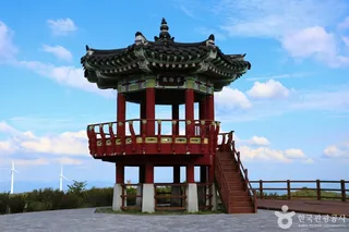 쇠목재