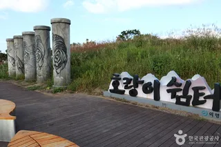 쇠목재
