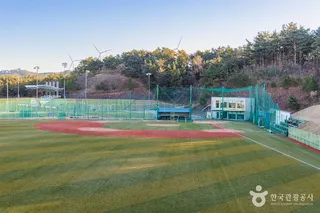 영해생활체육공원