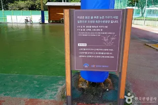 옥천레포츠공원