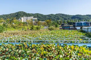 신정호수공원