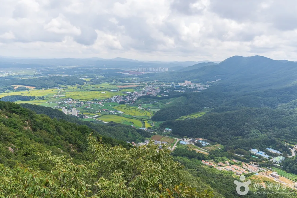 배방산