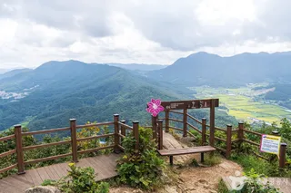배방산