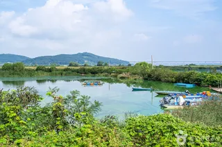 쌀조개섬