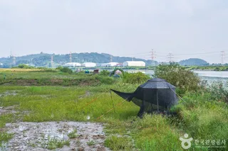 쌀조개섬
