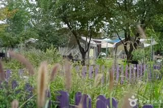 놀이정원풀빛