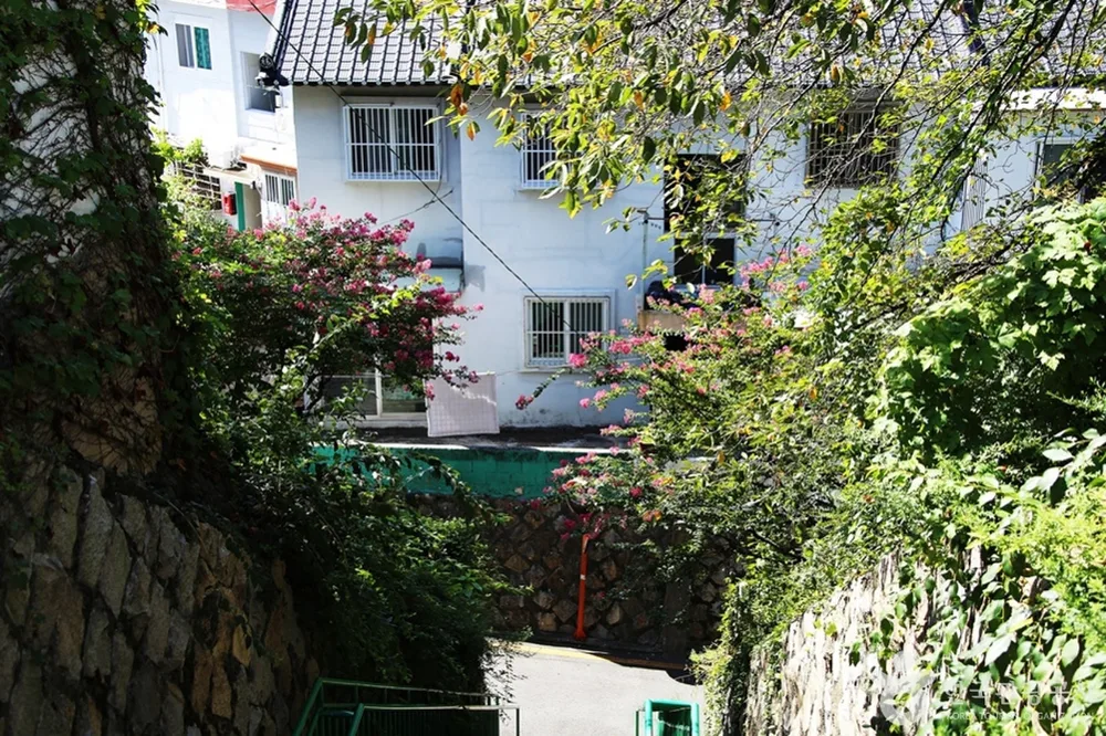 개금벚꽃길