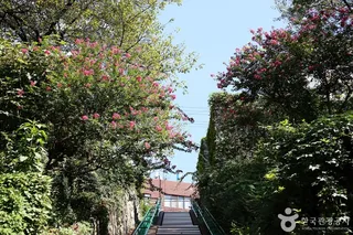 개금벚꽃길