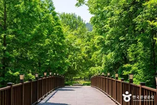 경북천년숲정원