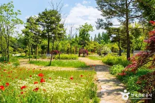 경북천년숲정원