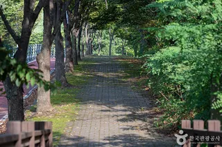 헤이리무장애노을숲길