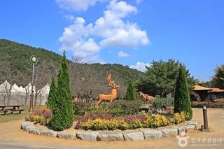 대가야기마문화체험장