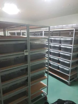 세산곤충체험농장