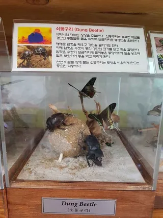 세산곤충체험농장