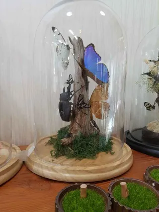 세산곤충체험농장