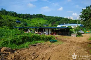 계수밤농장