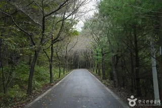 가제산