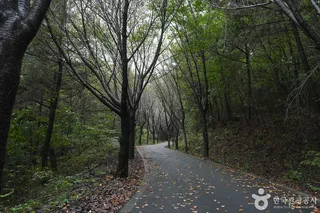 가제산