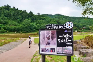 농암정