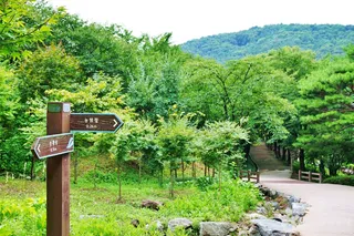 농암정