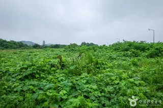 메추리섬