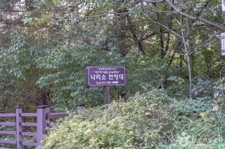 나리소전망대