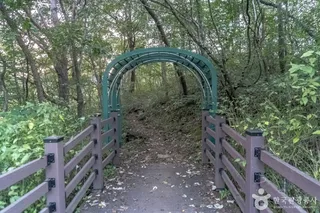 나리소전망대