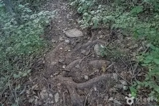 나리소전망대