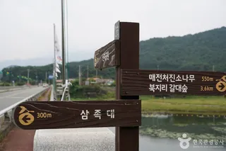청도 삼족대