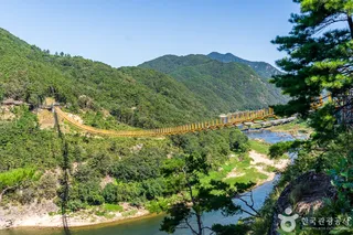 월영산 출렁다리