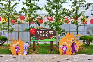 딸기향농촌테마공원
