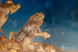국립생태원 에코리움