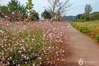 석장리 계절별 꽃단지